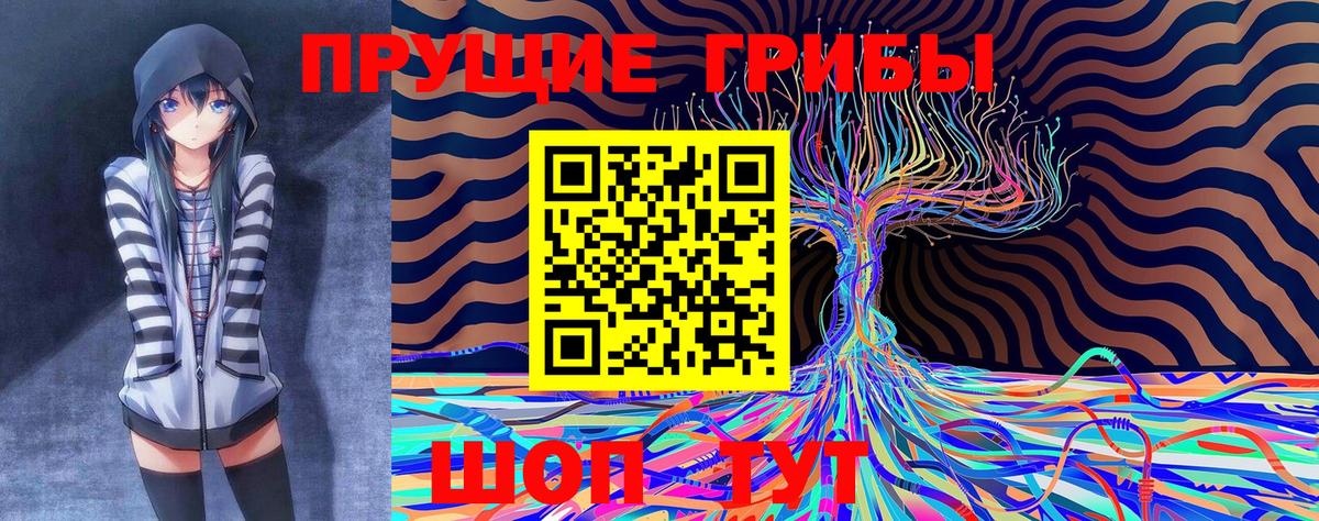 Аргун  наркотики  Вход с VPN  Галлюциногенные грибы Psilocybe 
