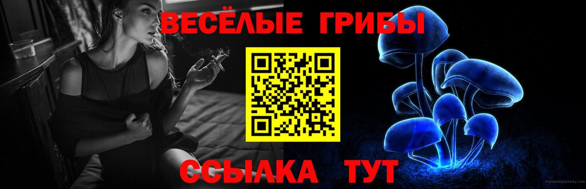 Псилоцибиновые грибы мухоморы Аргун