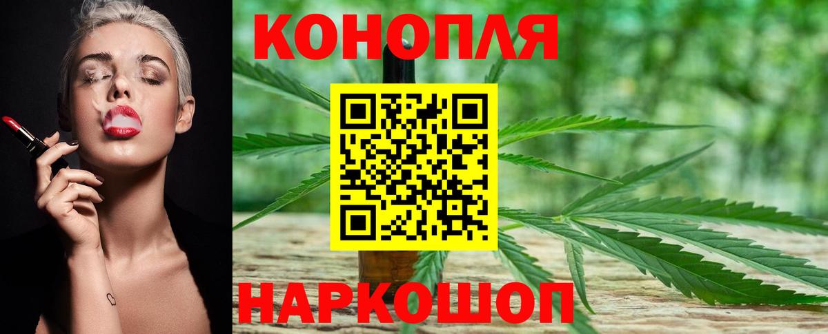 Бошки Шишки семена Аргун